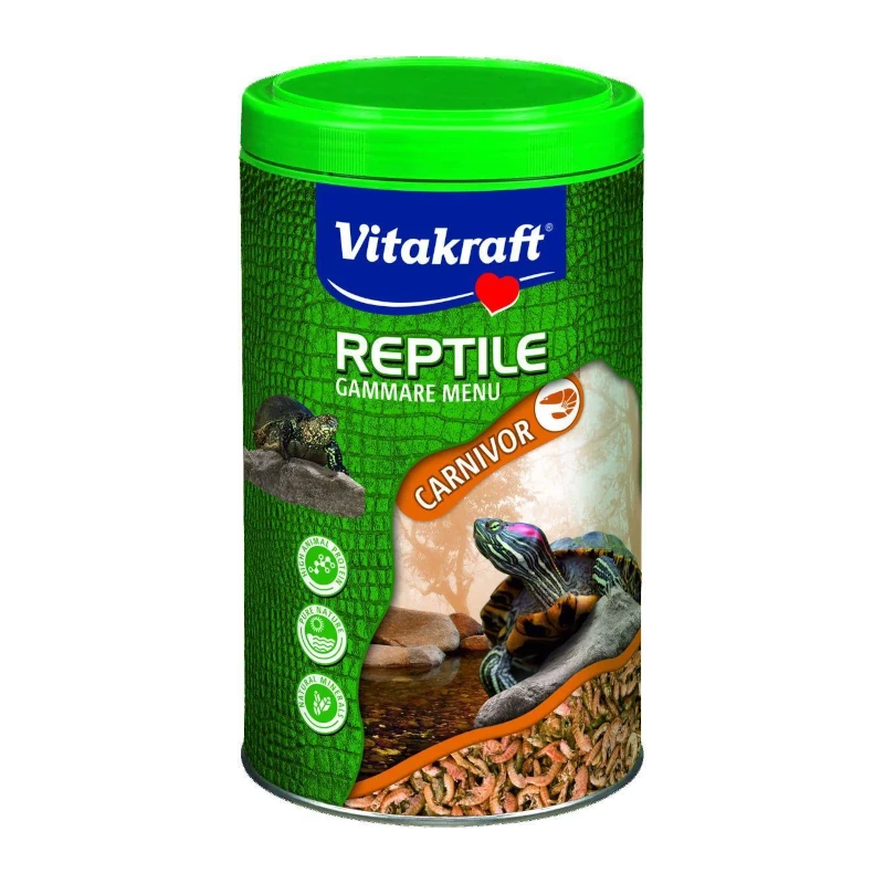 reptile