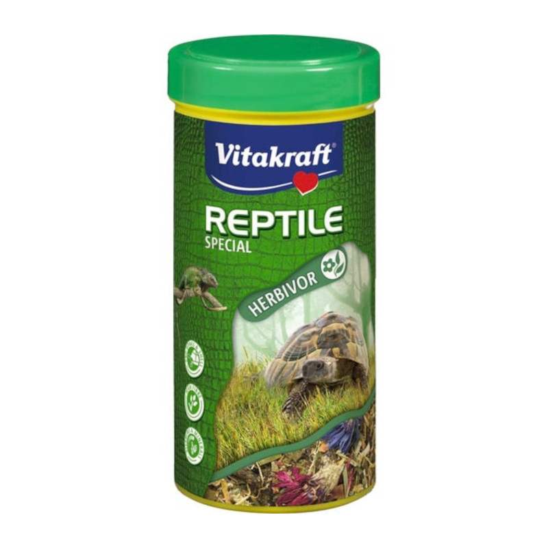 reptile