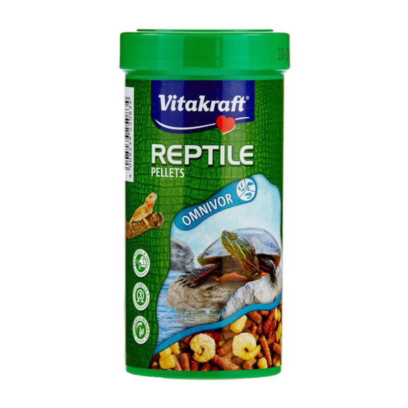 reptile