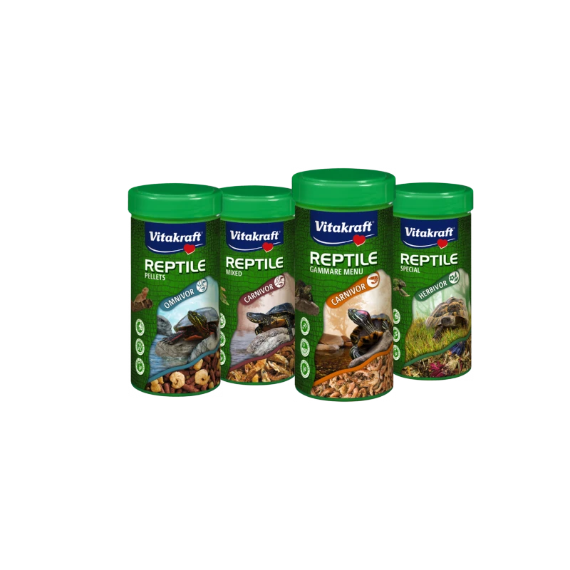 reptile
