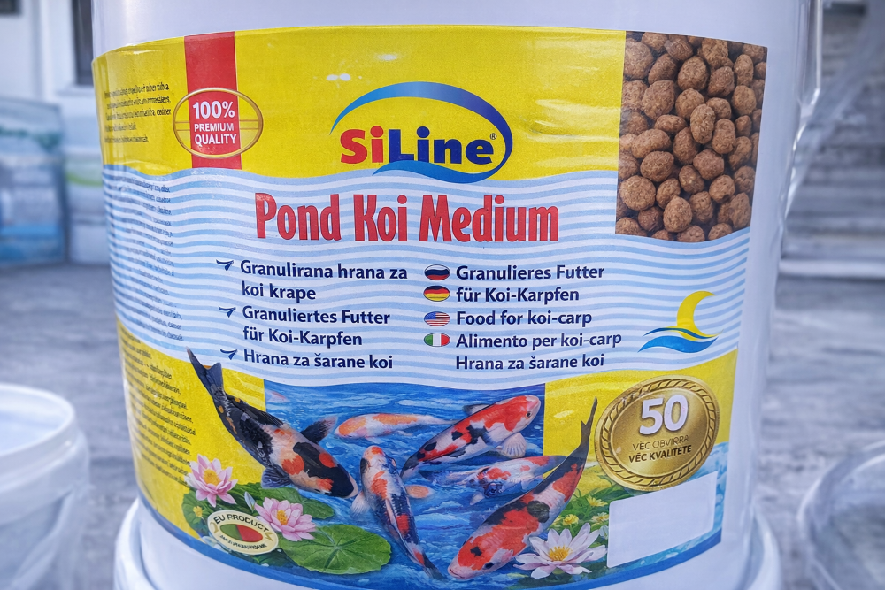 pond koi medium